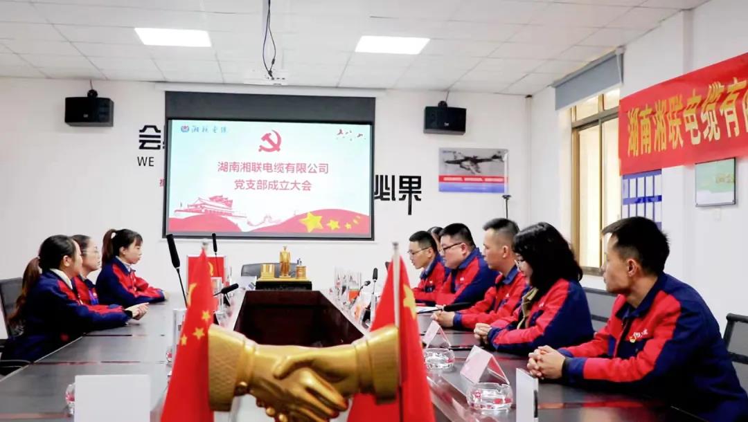 新征程 | 熱烈祝賀湖南湘聯電纜有限公司黨支部正式成立！